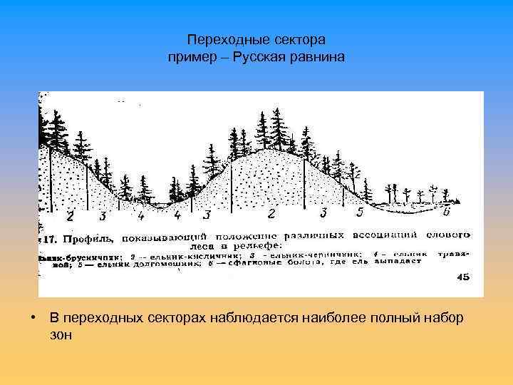 Переходные сектора пример – Русская равнина • В переходных секторах наблюдается наиболее полный набор