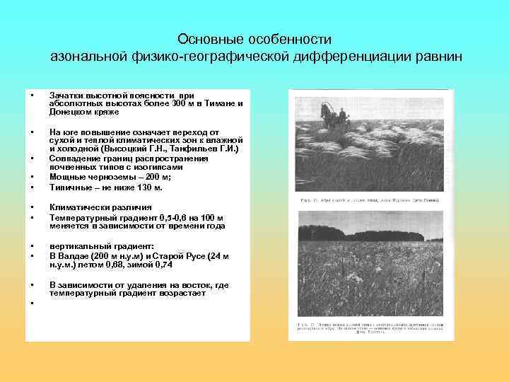 Какие почвы относятся к азональным типам подзолистые
