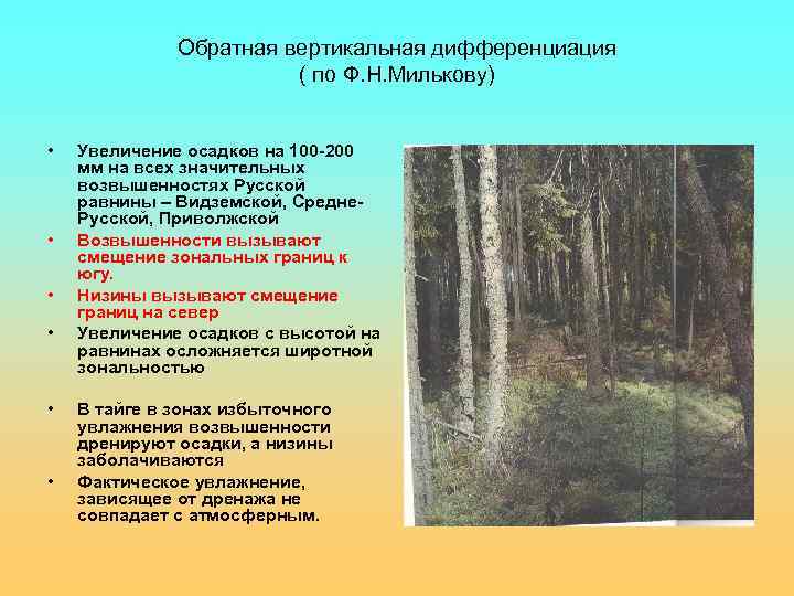 Обратная вертикальная дифференциация ( по Ф. Н. Милькову) • • • Увеличение осадков на