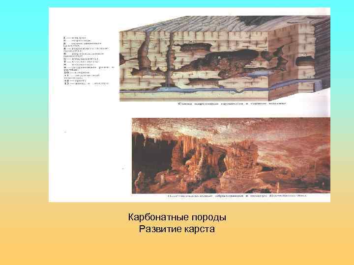 Карбонатные породы Развитие карста 