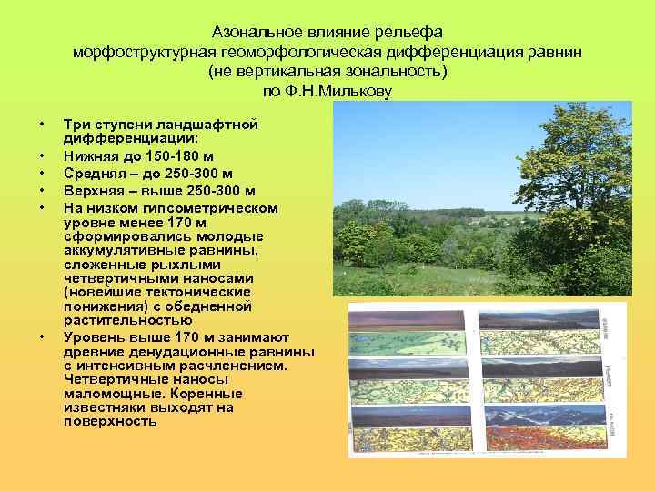 Азональное влияние рельефа морфоструктурная геоморфологическая дифференциация равнин (не вертикальная зональность) по Ф. Н. Милькову