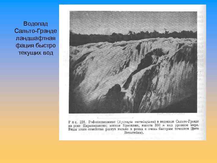 Водопад Сальто-Гранде ландшафтная фация быстро текущих вод 
