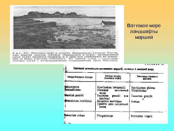 Ваттовое море ландшафты маршей 