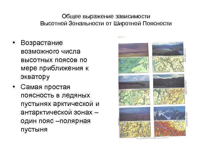 Общее выражение зависимости Высотной Зональности от Широтной Поясности • Возрастание возможного числа высотных поясов