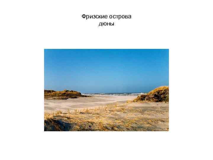 Фризские острова дюны 