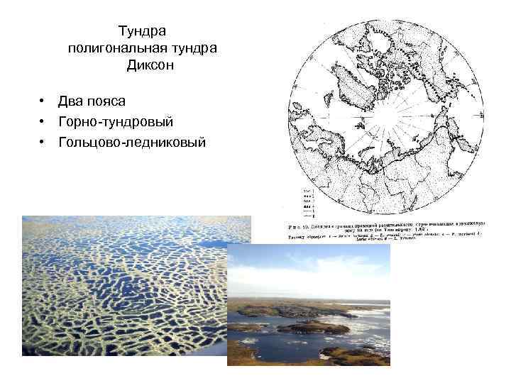 Тундра полигональная тундра Диксон • Два пояса • Горно-тундровый • Гольцово-ледниковый 