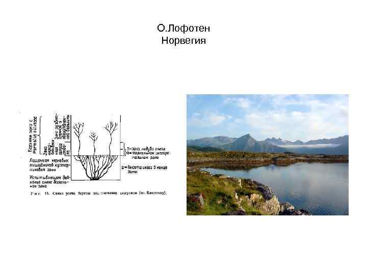 О. Лофотен Норвегия 