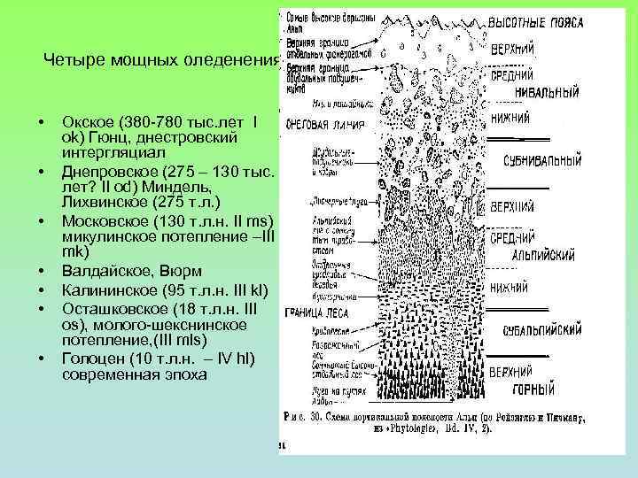 Четыре мощных оледенения • • Окское (380 -780 тыс. лет I ok) Гюнц, днестровский