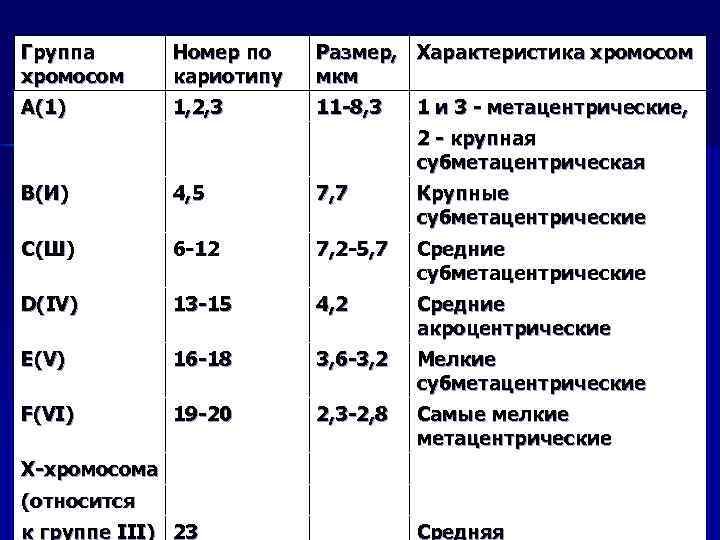 Группа хромосом Номер по кариотипу Размер, Характеристика хромосом мкм А(1) 1, 2, 3 11