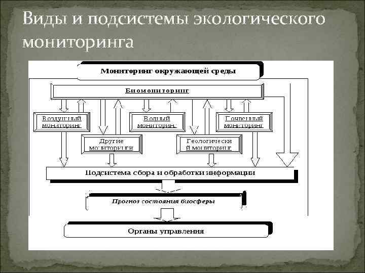 Виды экологического мониторинга. Экологический мониторинг окружающей среды методы мониторинга. Мониторинг окружающей среды классификация подсистемы. Методы мониторинга окружающей среды схема. Подсистема экологического мониторинга схема.