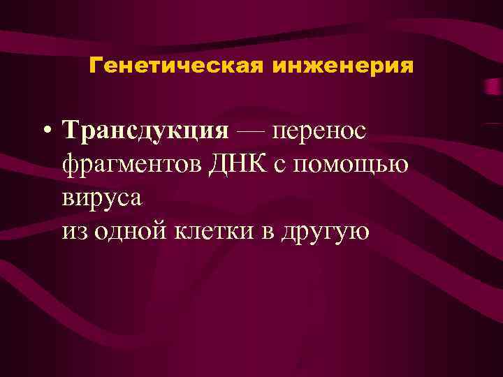   Генетическая инженерия  • Трансдукция — перенос  фрагментов ДНК с помощью