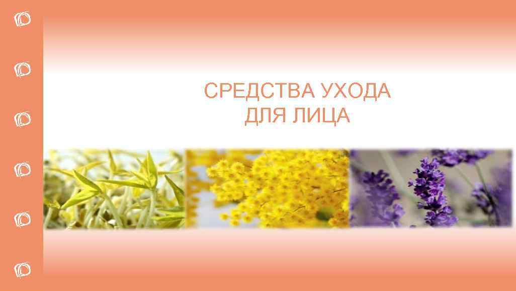 СРЕДСТВА УХОДА ДЛЯ ЛИЦА 