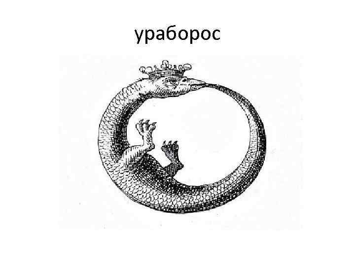 ураборос 