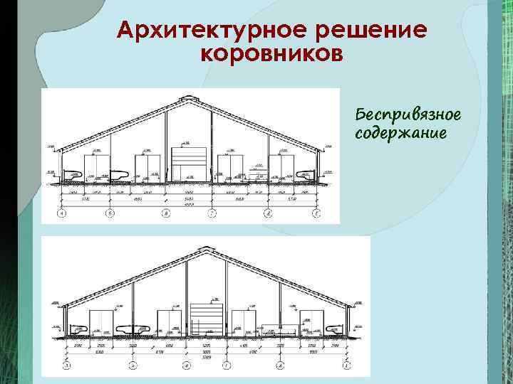 Проект коровника на 400 голов беспривязного содержания