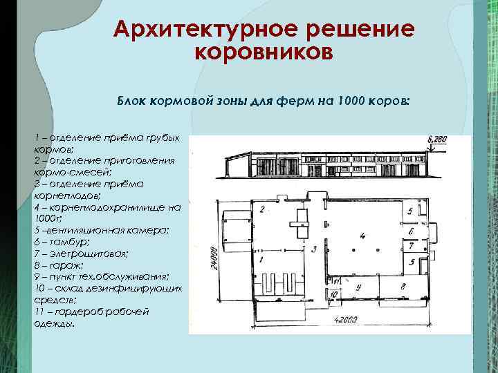 Архитектурное решение коровников Блок кормовой зоны для ферм на 1000 коров: 1 – отделение