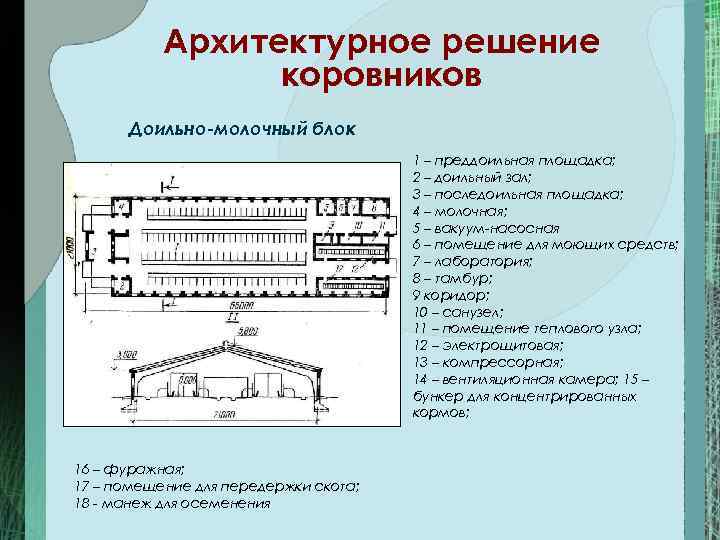Архитектурное решение коровников Доильно-молочный блок 1 – преддоильная площадка; 2 – доильный зал; 3