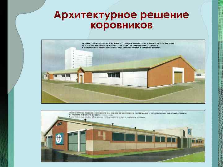 Архитектурное решение коровников 