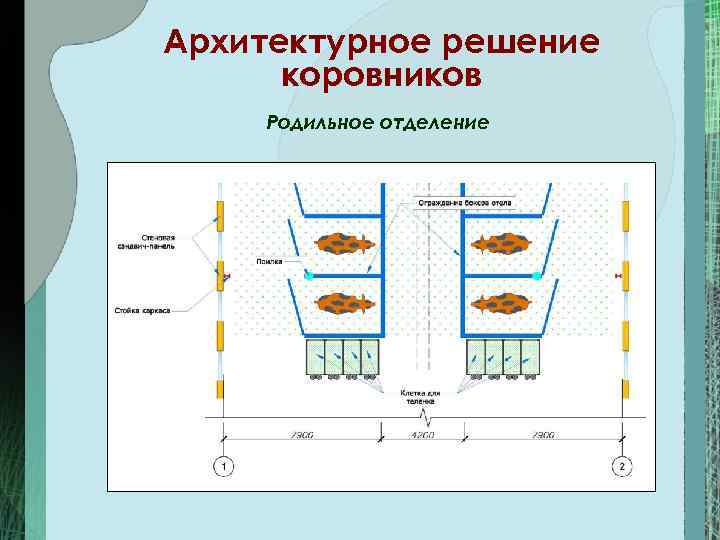 Архитектурное решение коровников Родильное отделение 
