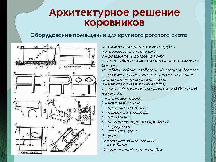 Архитектурное решение коровников Оборудование помещений для крупного рогатого скота а – стойло с разделителями