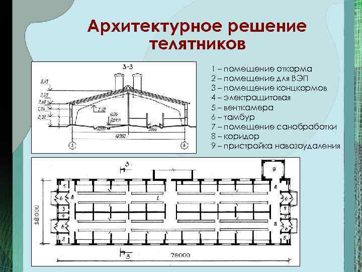 Договор аренды фермы для содержания крс образец