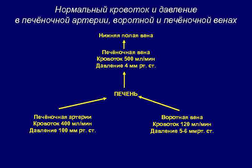 Кровоток и давление в печёночной артерии, воротной и печёночной венах при портальной гипертензии 