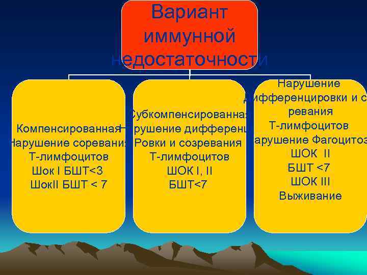 Вариант иммунной недостаточности Нарушение Дифференцировки и со ревания Субкомпенсированная Нарушение дифференци- Т-лимфоцитов Компенсированная Нарушение