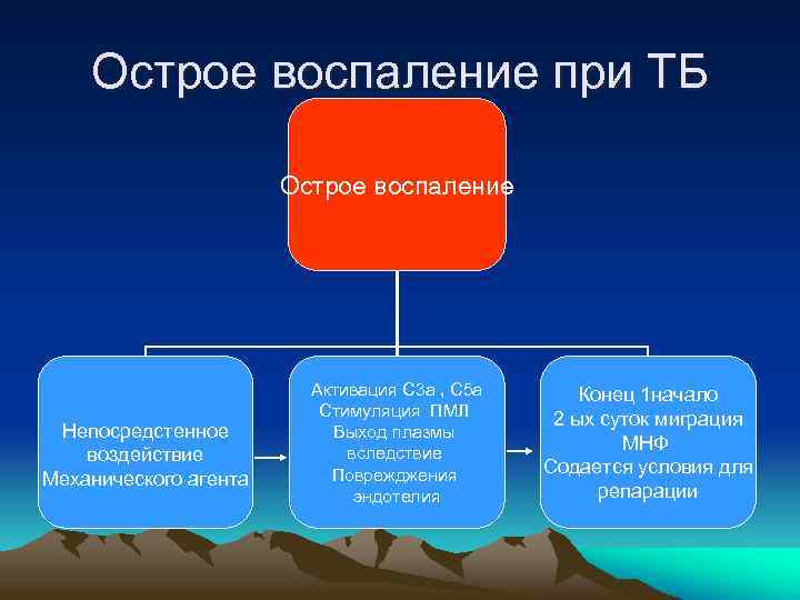 Острое воспаление при ТБ Острое воспаление Непосредстенное воздействие Механического агента Активация С 3 а