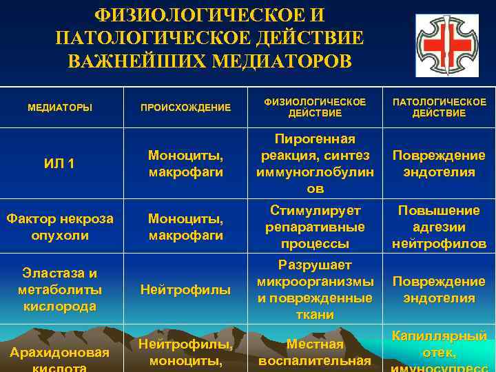 ФИЗИОЛОГИЧЕСКОЕ И ПАТОЛОГИЧЕСКОЕ ДЕЙСТВИЕ ВАЖНЕЙШИХ МЕДИАТОРОВ ПРОИСХОЖДЕНИЕ ФИЗИОЛОГИЧЕСКОЕ ДЕЙСТВИЕ ПАТОЛОГИЧЕСКОЕ ДЕЙСТВИЕ ИЛ 1 Моноциты,