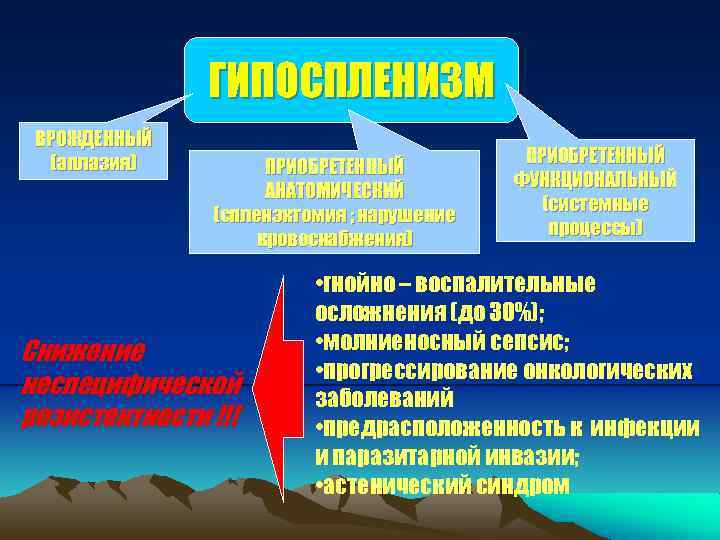 ГИПОСПЛЕНИЗМ ВРОЖДЕННЫЙ (аплазия) ПРИОБРЕТЕННЫЙ АНАТОМИЧЕСКИЙ (спленэктомия ; нарушение кровоснабжения) Снижение неспецифической резистентности !!! ПРИОБРЕТЕННЫЙ