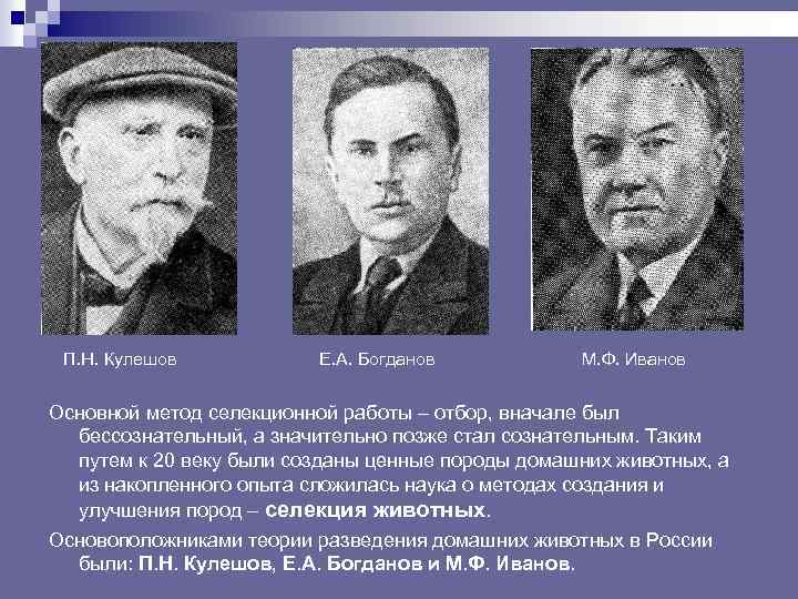 П. Н. Кулешов Е. А. Богданов М. Ф. Иванов Основной метод селекционной работы –
