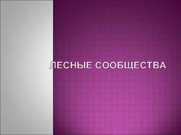 ЛЕСНЫЕ СООБЩЕСТВА 