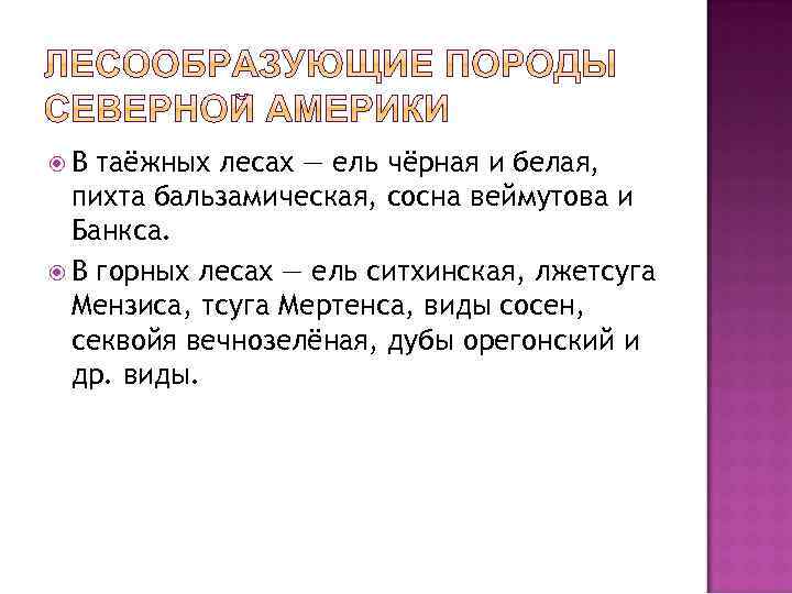  В таёжных лесах — ель чёрная и белая, пихта бальзамическая, сосна веймутова и