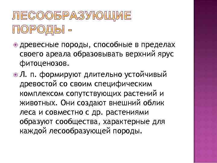  древесные породы, способные в пределах своего ареала образовывать верхний ярус фитоценозов. Л. п.