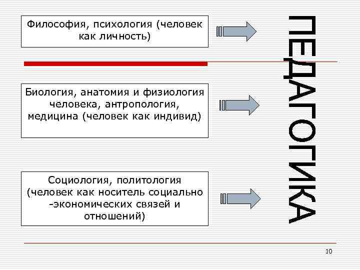 Философия, психология (человек как личность) Биология, анатомия и физиология человека, антропология, медицина (человек как