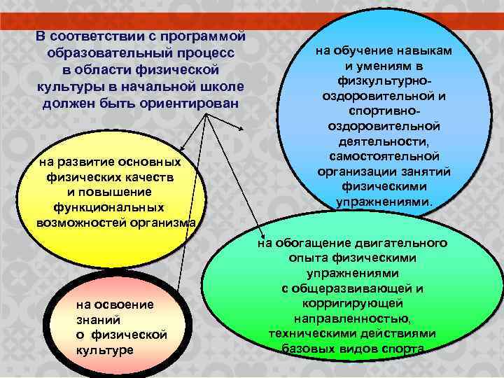 В соответствии с программой образовательный процесс в области физической культуры в начальной школе должен