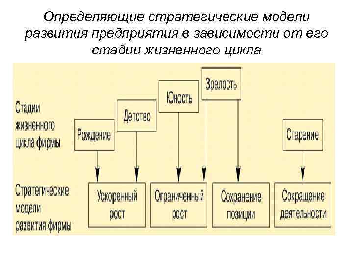 Определяющие стратегические модели развития предприятия в зависимости от его стадии жизненного цикла 