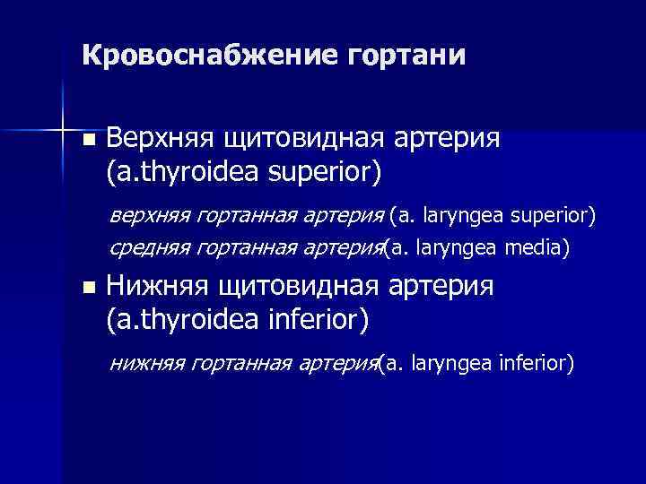 Иннервация гортани n Симпатическая - от звездчатого Иннервация гортани n Симпатическая - от звездчатого