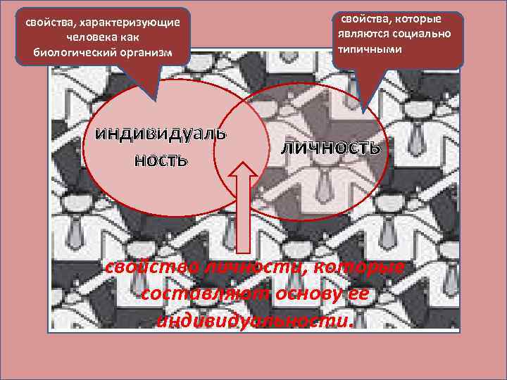 свойства, характеризующие человека как биологический организм индивидуаль ность свойства, которые являются социально типичными личность