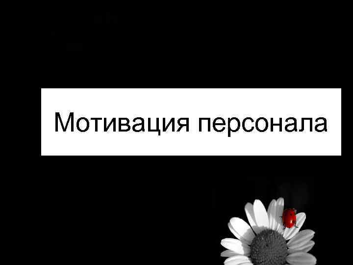 Мотивация персонала 