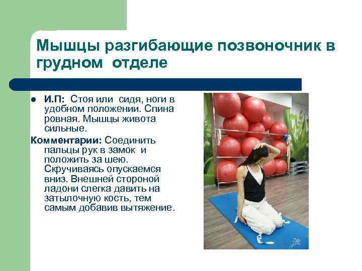 Мышцы разгибающие позвоночник в грудном отделе И. П: Стоя или сидя, ноги в удобном