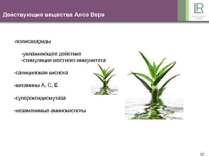 Действующие вещества Алоэ Вера -полисахариды -увлажняющее действие -стимуляция местного иммунитета -салициловая кислота -витамины А,