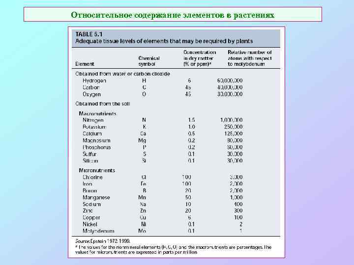 Относительное содержание элементов в растениях 
