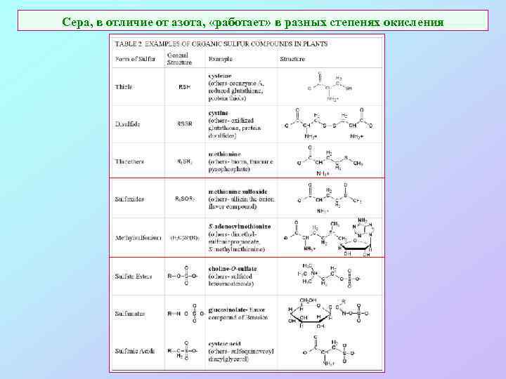 Сера, в отличие от азота, «работает» в разных степенях окисления 