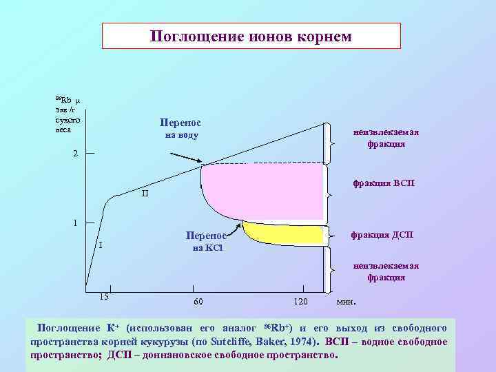 Процесс поглощения. Процесс поглощения ионов корнем. Абсорбция ионов. Ионное поглощение. Поглощение ионов растениями.