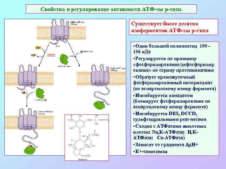 Схема минеральное питание