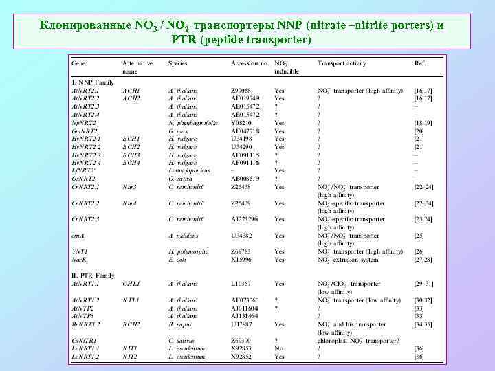 Клонированные NO 3 -/ NO 2 - транспортеры NNP (nitrate –nitrite porters) и PTR