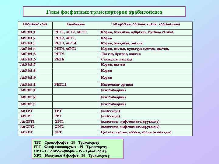 Гены фосфатных транспортеров арабидопсиса Название гена Синонимы Экспрессия, органы, ткани, (органеллы) At; Pht 1;