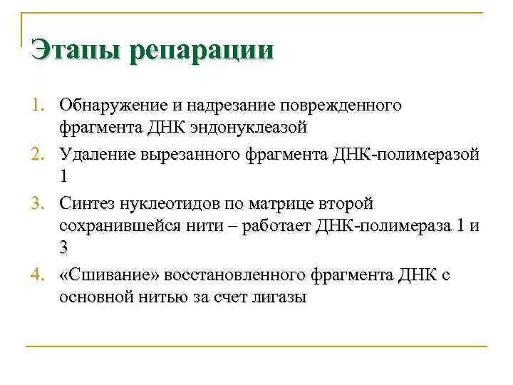 Что такое репарация. Эксцизионная репарация этапы. Репарация ДНК этапы. Эксцизионная репарация ферменты. Этапы эксцизионной репарации ДНК.