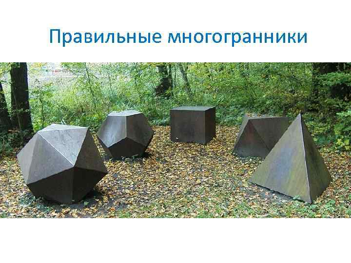 Правильные многогранники 