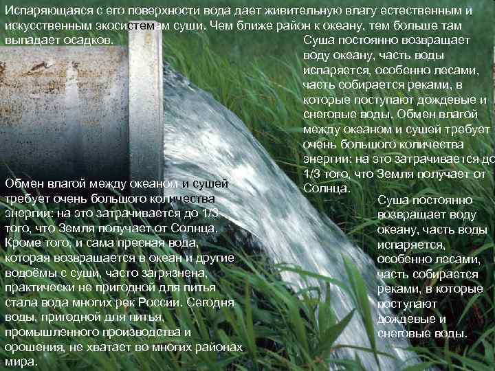 Испаряющаяся с его поверхности вода дает живительную влагу естественным и искусственным экосистемам суши. Чем